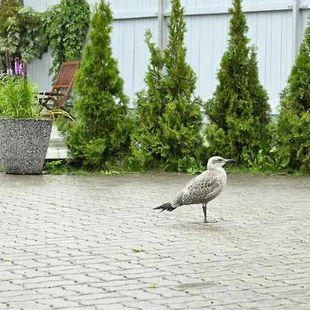 K8 Free Parking Apartamento *