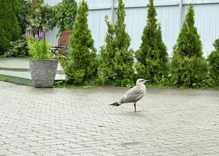 K8 Free Parking Lägenhet *